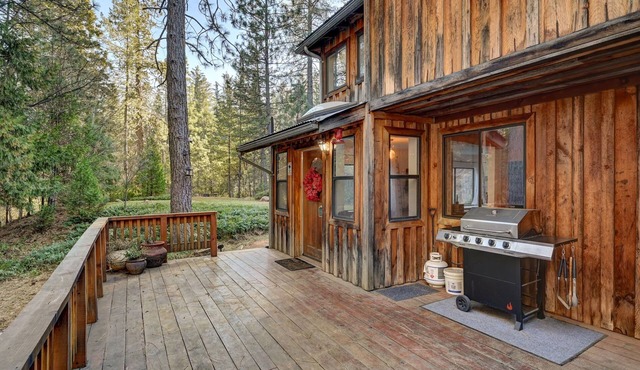 Rustic & Modern Cabin w/Extra Large Deck! Dog Friendly - 35 min to Park!