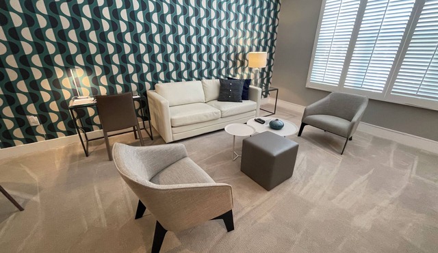 San Jose Luxury One Bedroom Apartment