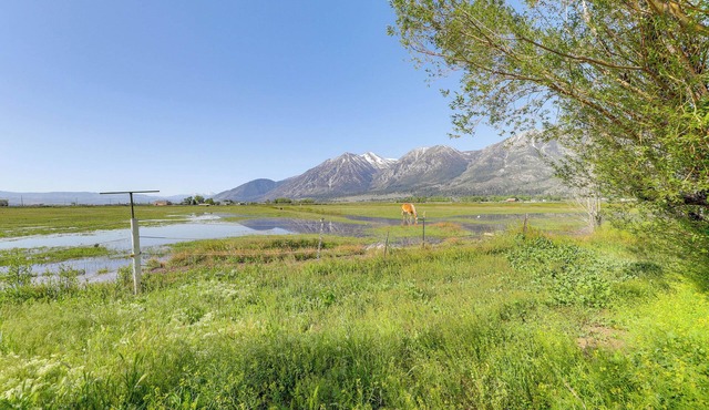 Sierra Nevada Mtn Views: Gardnerville Getaway