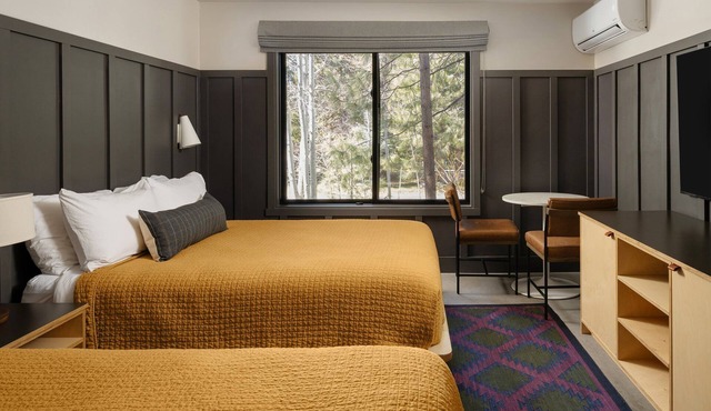 Ski for family: Modern Mountain Haven stay, Pet Friendly | 4 Units