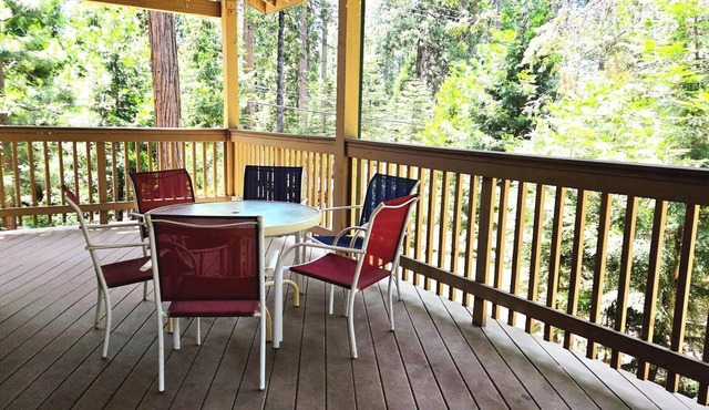Spacious Mountain Retreat with Stunning Forest Views! Kid-friendly!