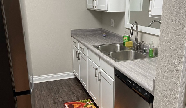 Spacious1bedroom w/fire place in Las Vegas