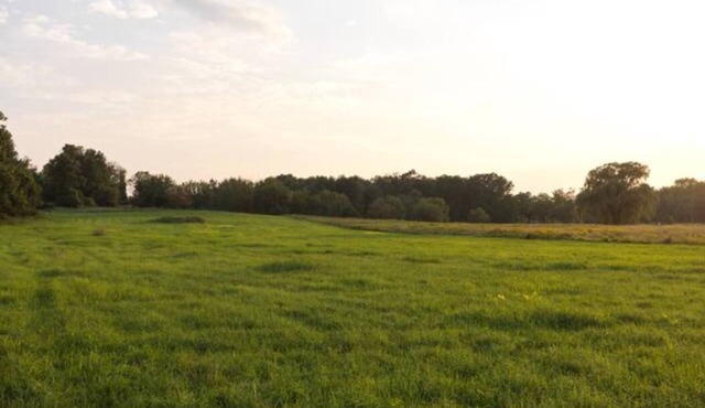 Spectacular Views! Large Home on 63 Acre Farm in High Falls