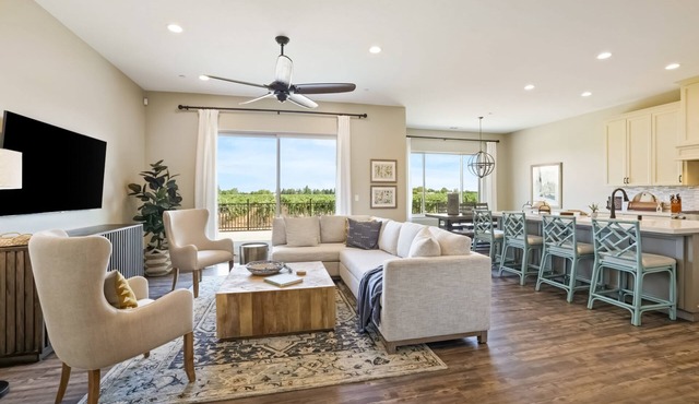 Stunning home with vineyard views, outdoor activities, & modern amenities