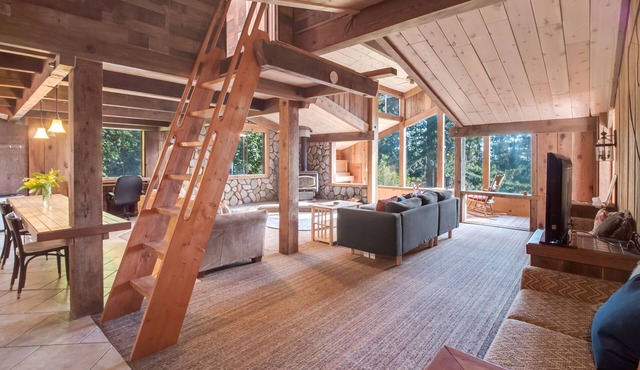 Stunning View, Large Living Room, King bed, 45 acre Redwood Retreat