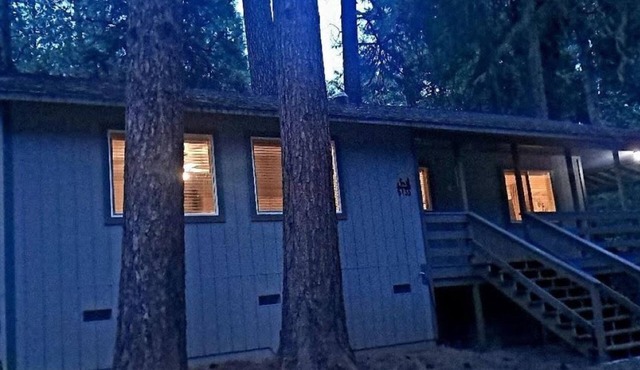 Stylish, light filled, cottage in the trees, Tahoe close.