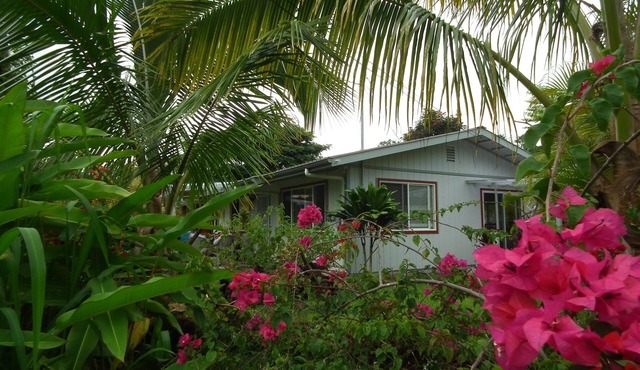 Summer Sale, all dates in June July and Aug are 79.00 3- Night Minimum, in Pahoa