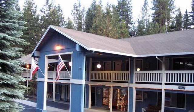 The Christmas Tree Inn