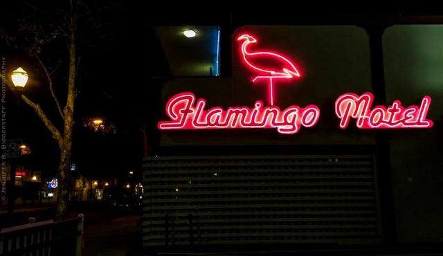 The Flamingo Motel San Jose