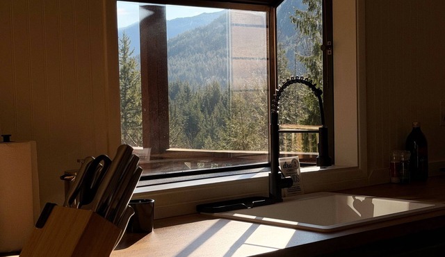 The Hoodhaus Modern Secluded Forest Stay in Rhododendron