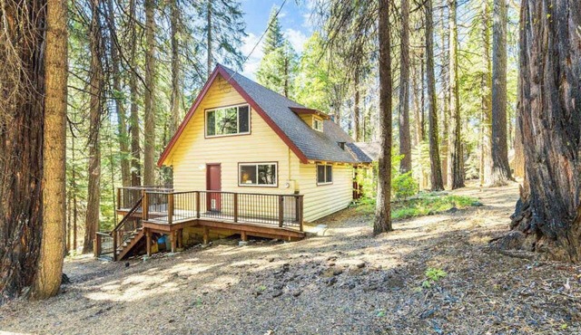 The Jug Handle Hideaway - Snowshoe Springs
