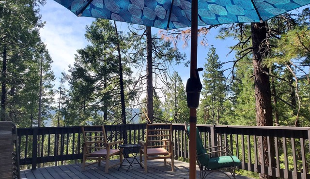 The Knotty Pine! Minutes to DODGE RIDGE SKI RESORT!