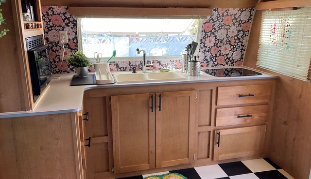 The Not So Tiny, TINY HOUSE. “THE Retro”