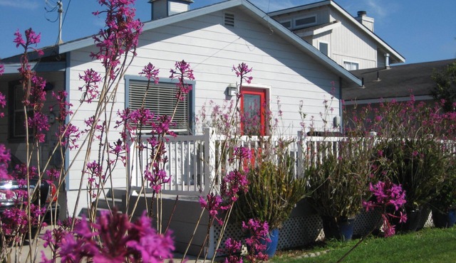 "THE ORCHID COTTAGE" PETS OK!
