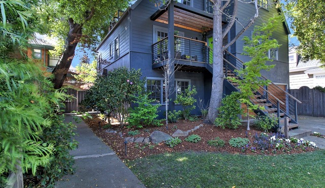 The Palo Alto Treehouse