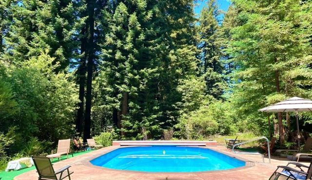 The paradise Retreats