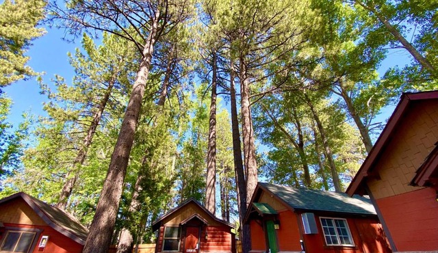 The Village Cabins