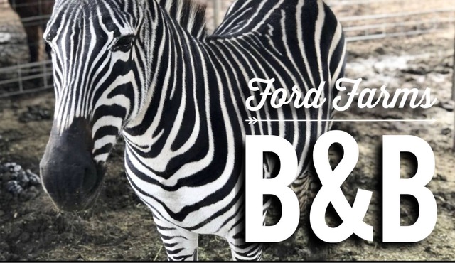 Unique Farm stay at a Petting Zoo