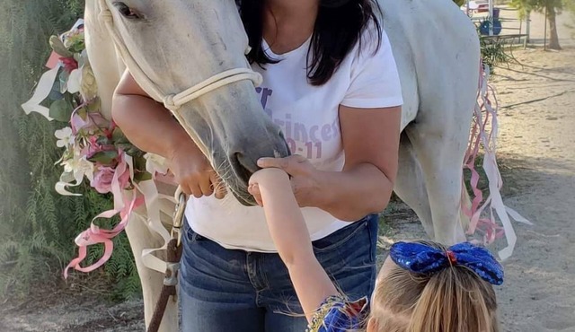 Vacation with the Horses in our Ranch House! Right off Hwy 395