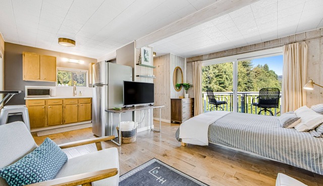Vineyard view studio by Russian River w/private balcony, patio, grill, & WiFi