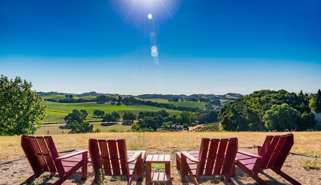 Vineyard Views + Fire Pit | Hilltop Wine Country | Orchard Hill Farm in Paso Robles