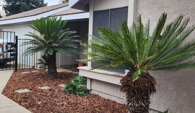 Whole Home- 3 Bedroom - 2 Bath- Quiet neighborhood with secure courtyard
