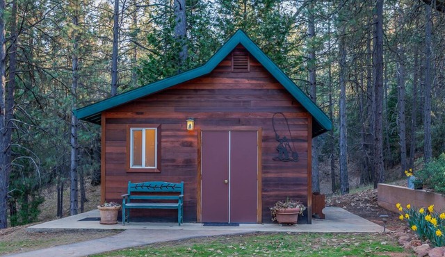 Yosemite Country Cabin - Modern & Private in a woodland setting.
