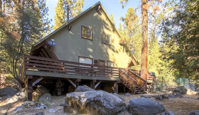 Yosemite's Creekside Birdhouse