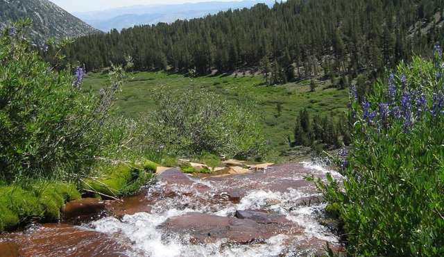 Your home away from home, nestled in the forest but close to everything!