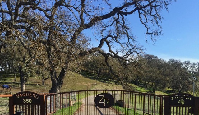 Z Ranch