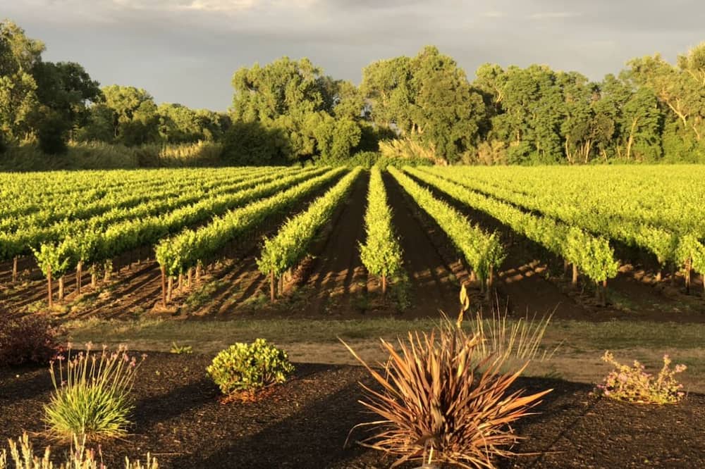 Victor House | Beautiful Luxury Estate in the Vineyards