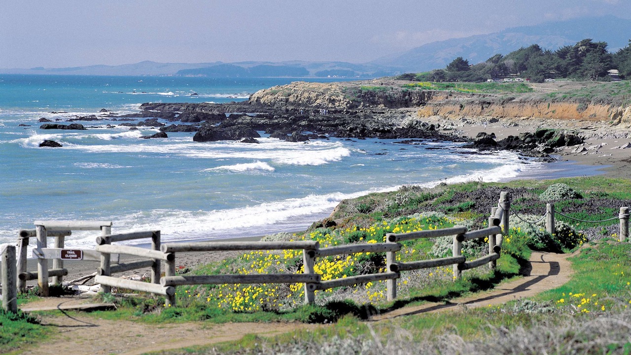 Photo of Others in San Simeon