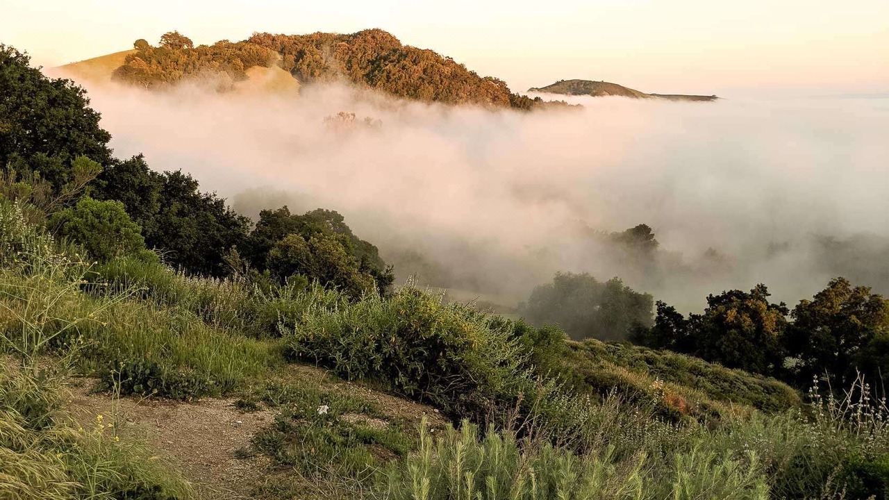 Photo of Outdoor in San Simeon