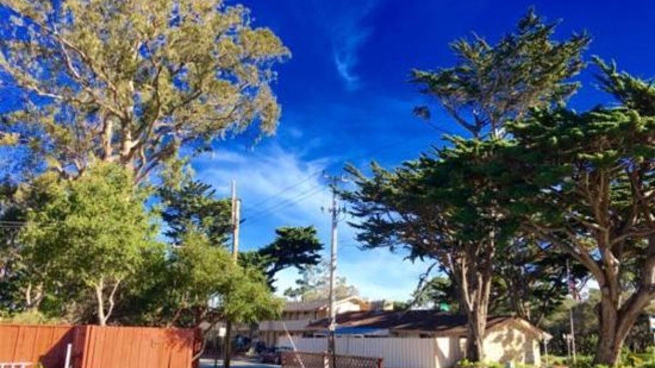 Photo of Others in Munras Avenue