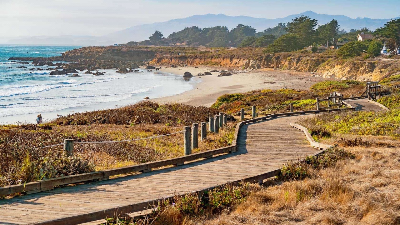 Photo of Others in San Simeon