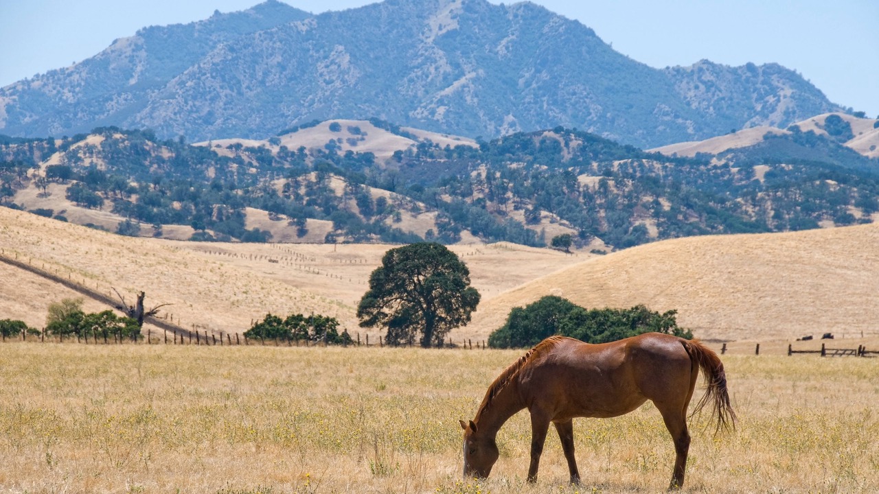 Photo of Outdoor in San Ramon