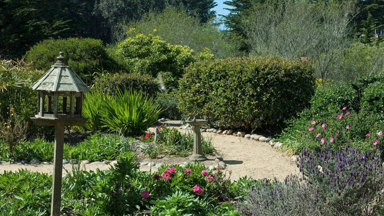 Photo of Others in Moss Beach