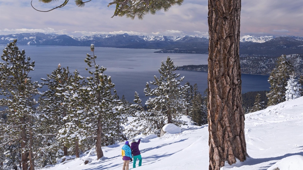 Photo of Others in Incline Village