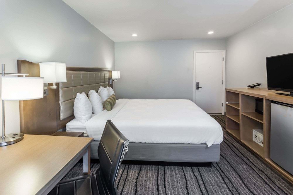 Photo of Bedroom in Central Berkeley