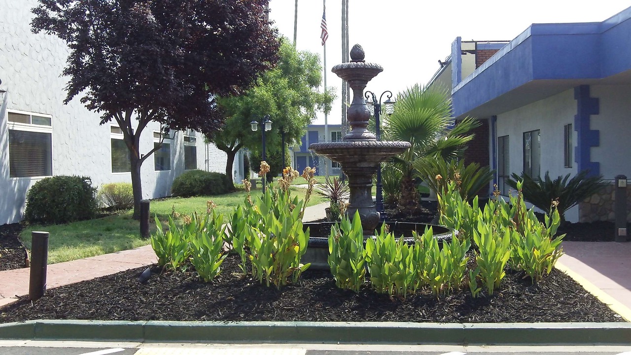 Photo of Buildings in Woodlake