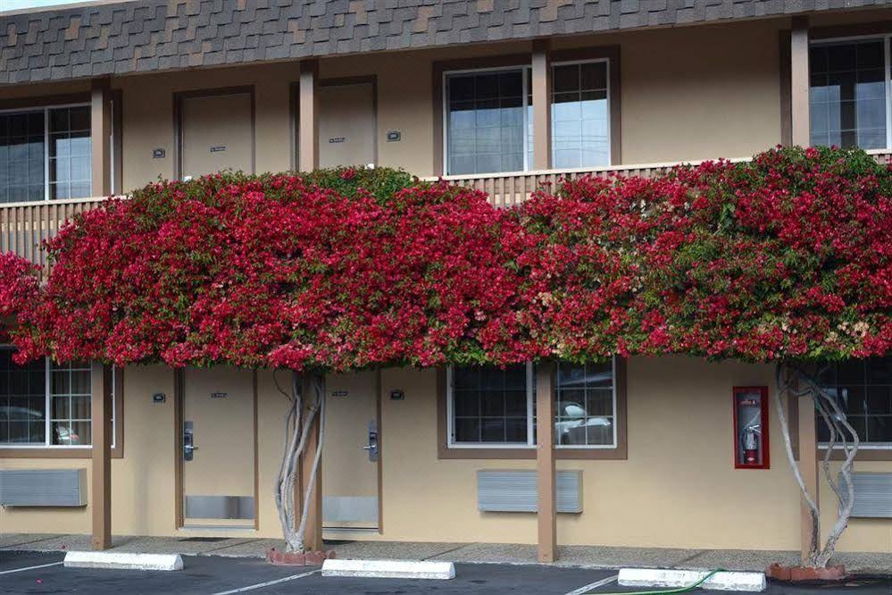Photo of Buildings in Downtown Monterey