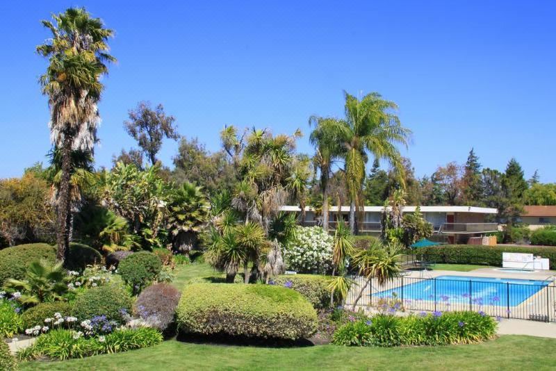Photo of Outdoor in Sunnyvale