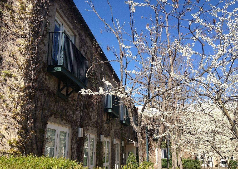 Photo of Buildings in St. Helena