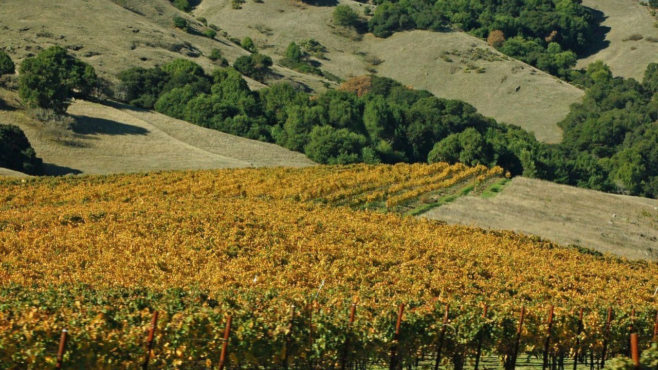 Photo of Outdoor in Novato