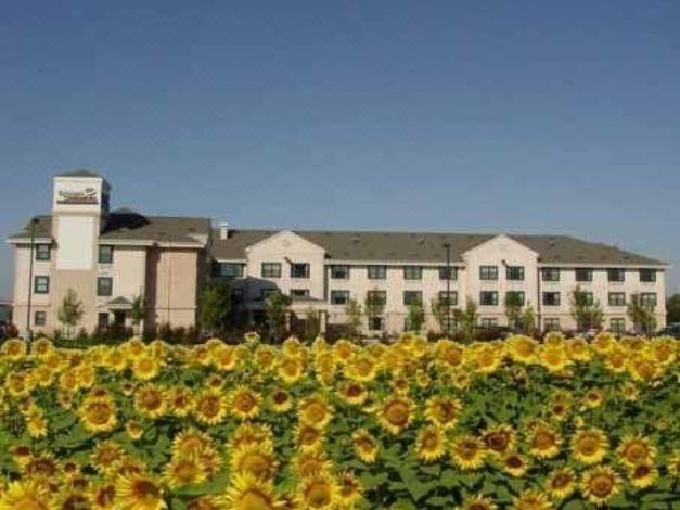 Photo of Buildings in West Sacramento