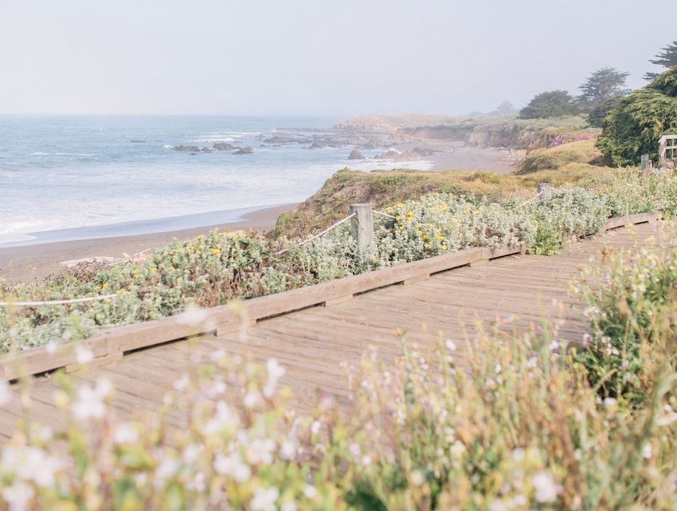 Photo of Outdoor in San Simeon