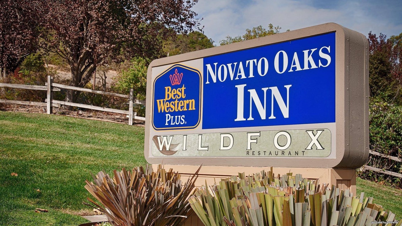 Photo of Buildings in Novato