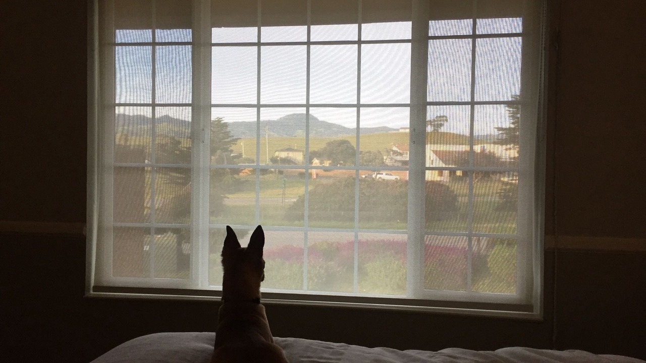 Photo of Others in San Simeon