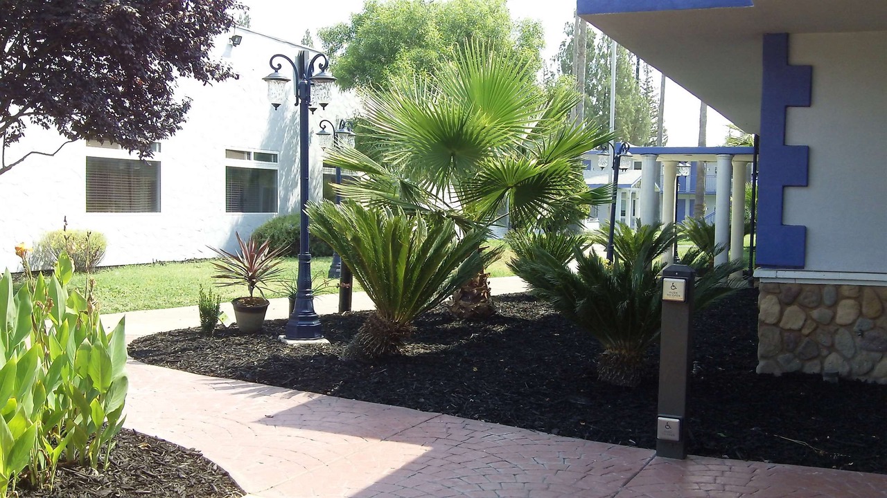 Photo of Buildings in Woodlake