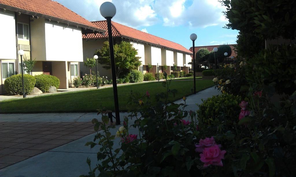 Photo of Buildings in Raisin